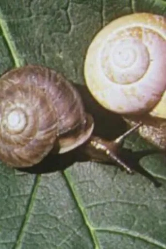 Póster de On Closer Inspection