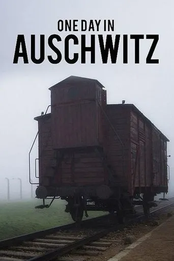 Póster de One Day in Auschwitz