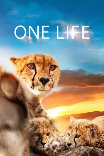 Póster de One Life