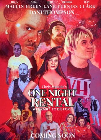 Póster de One Night Rental