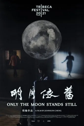 Póster de Only the Moon Stands Still