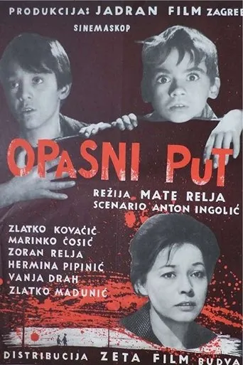 Póster de Opasni put
