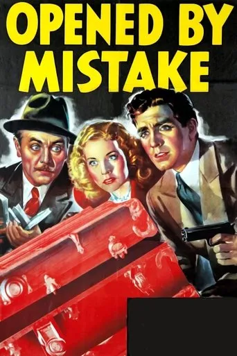 Póster de Opened by Mistake