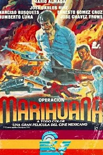 Póster de Operacion marihuana
