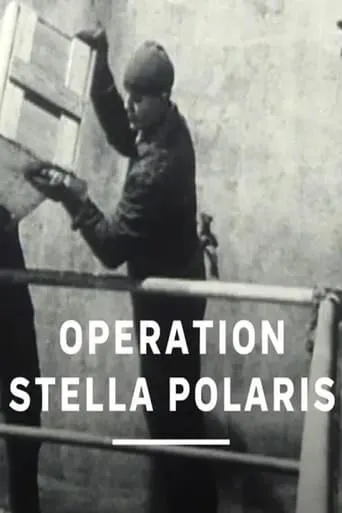 Póster de Operation Stella Polaris
