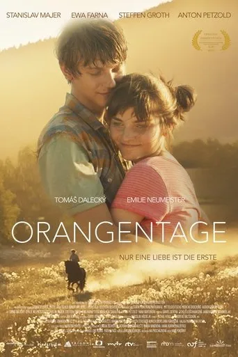 Póster de Orangentage