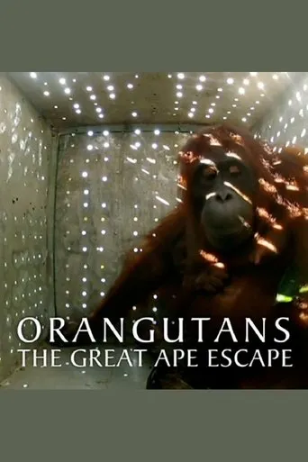 Póster de Orangutans: The Great Ape Escape