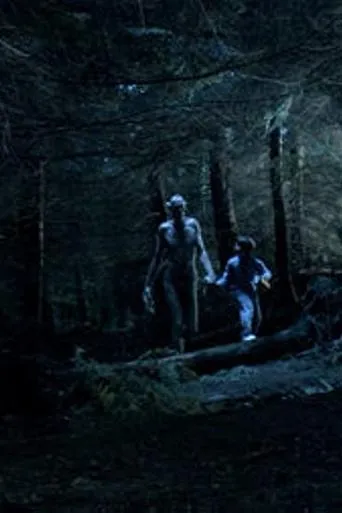 Póster de Ordan's Forest