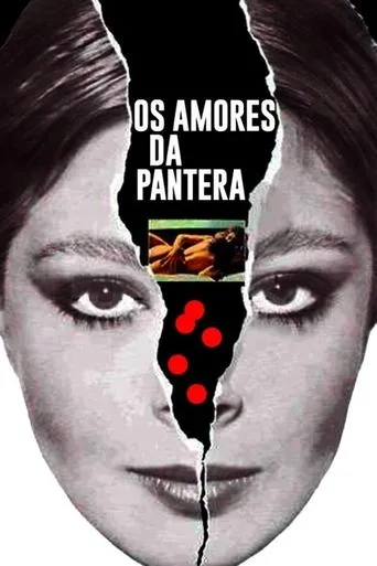Póster de Os Amores da Pantera