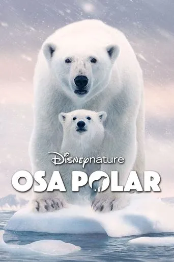 Póster de Osa Polar