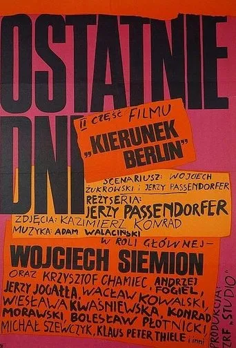 Póster de Ostatnie dni