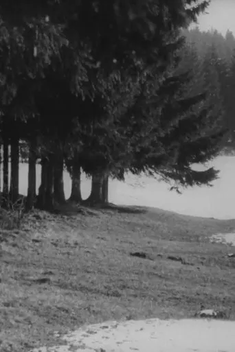 Póster de Ostern in Schwedt