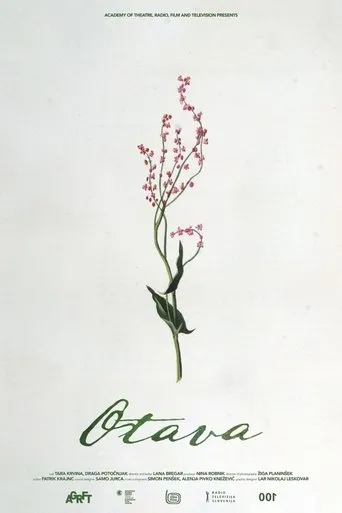 Póster de Otava
