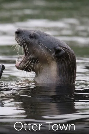 Póster de Otter Town