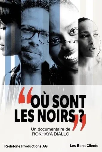 Póster de Où sont les noirs ?