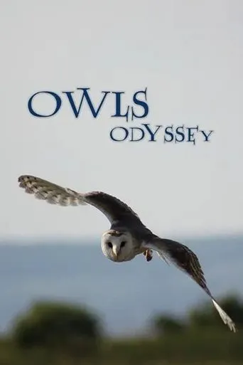 Póster de Owl's Odyssey