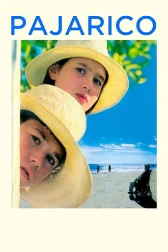 Póster de Pajarico