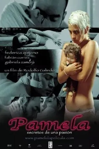 Póster de Pamela: secretos de una pasión