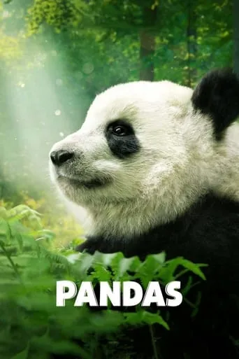 Póster de Pandas: El Camino a Casa