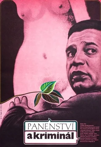 Póster de Panenství a kriminál