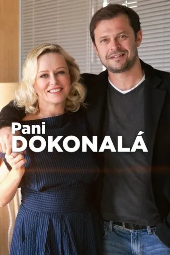 Póster de Pani Dokonalá