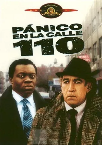 Póster de Pánico en la calle 110
