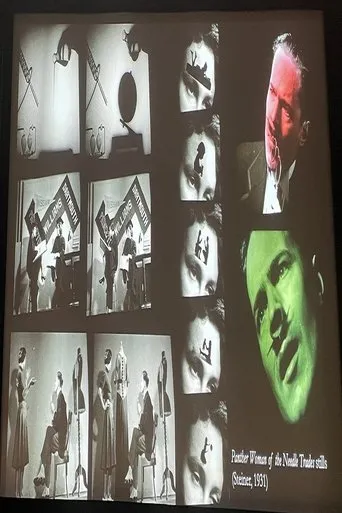 Póster de Panther Woman of the Needle Trades, or The Lovely Life of Little Lisa