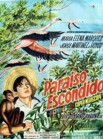 Póster de Paraíso escondido