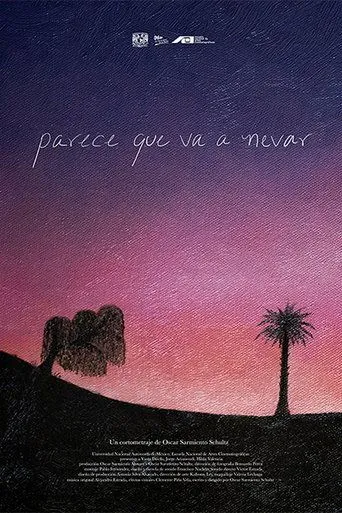 Póster de Parece que va a nevar