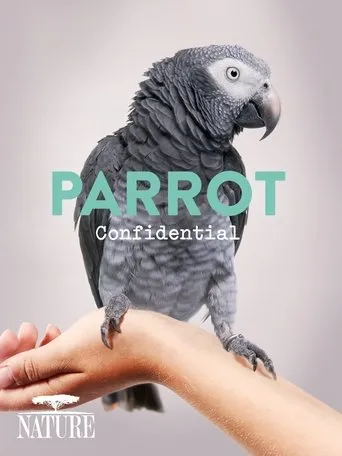 Póster de Parrot Confidential