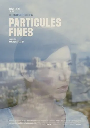 Póster de Particules fines