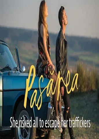 Póster de Pasarea