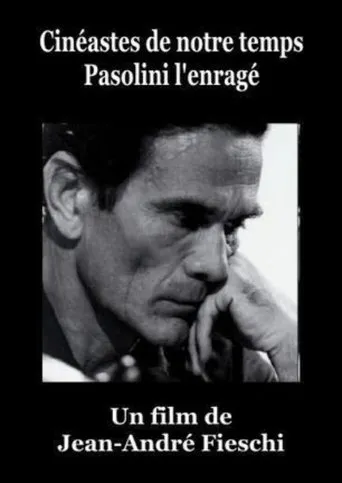 Póster de Pasolini l'Enragé