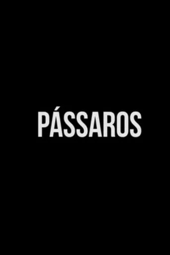 Póster de Pássaros