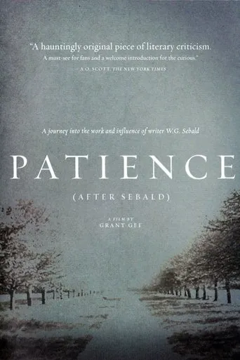 Póster de Patience (After Sebald)