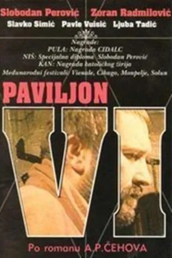 Póster de Paviljon broj VI