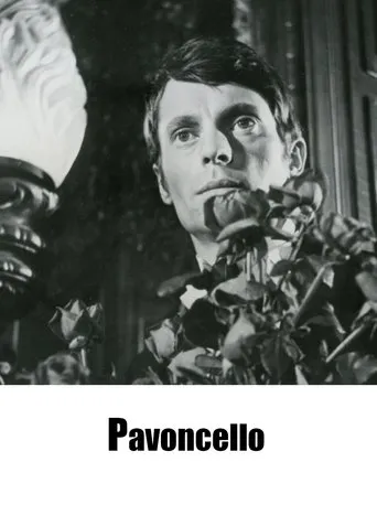 Póster de Pavoncello