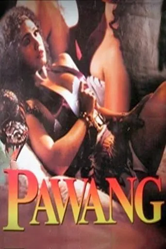 Póster de Pawang