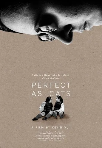 Póster de Perfect as Cats