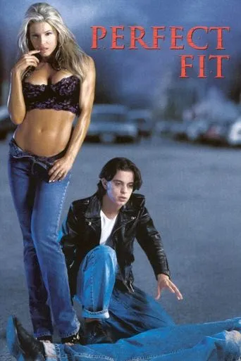 Póster de Perfect Fit