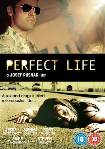 Póster de Perfect Life