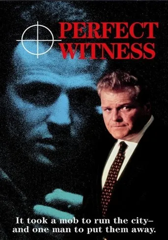 Póster de Perfect Witness
