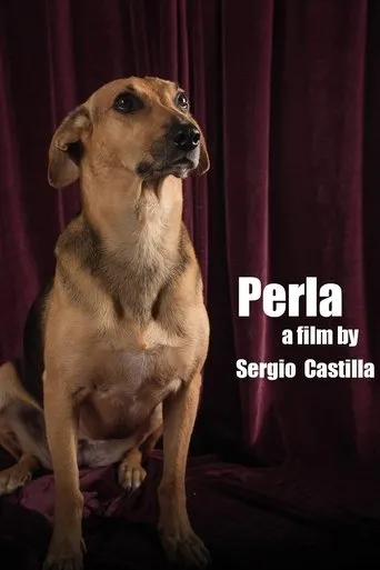 Póster de Perla: La Película