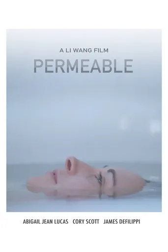 Póster de Permeable