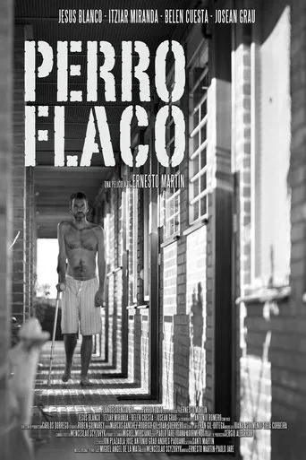 Póster de Perro flaco