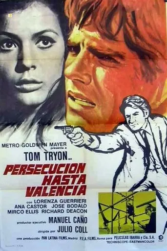 Póster de Persecución hasta Valencia
