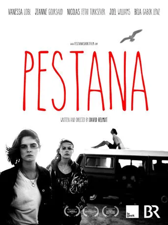 Póster de Pestana