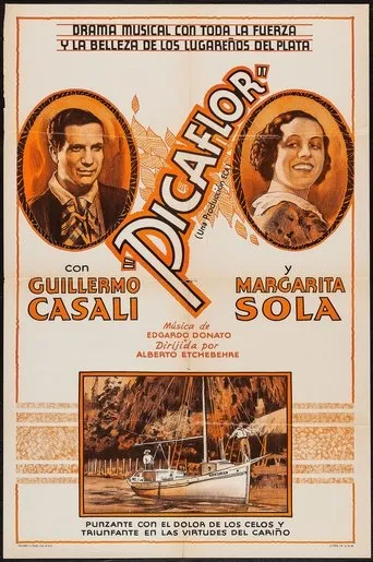 Póster de Picaflor
