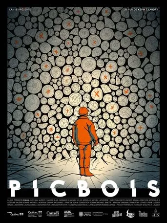Póster de Picbois