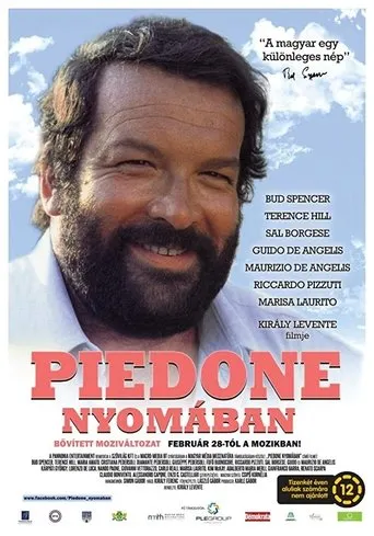 Póster de Piedone nyomában